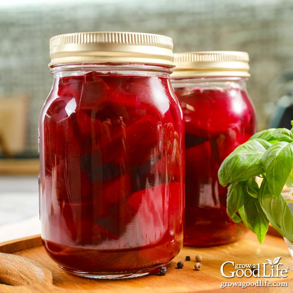 Two Jars of home canned pickled beets on a kitchen counter.