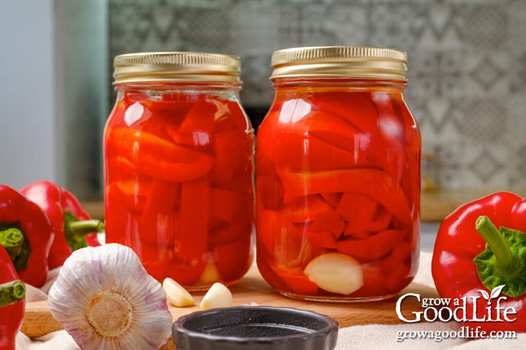 Jars of home canned pickled red bell peppers on a counter.