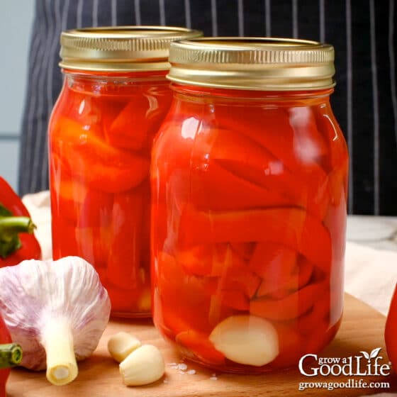 Pickled Bell Peppers Canning Recipe