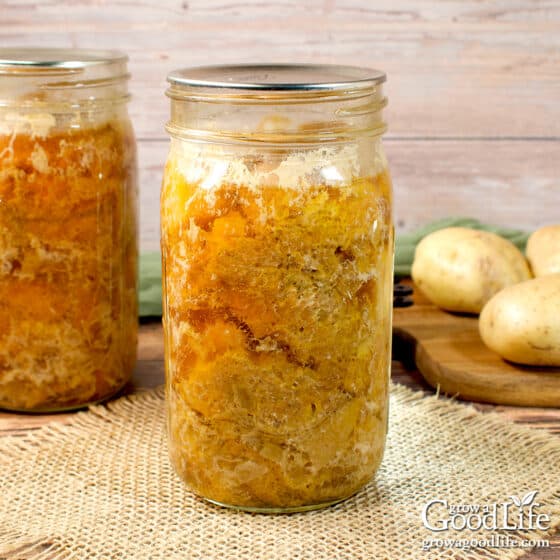 Chicken and Gravy Canning Recipe