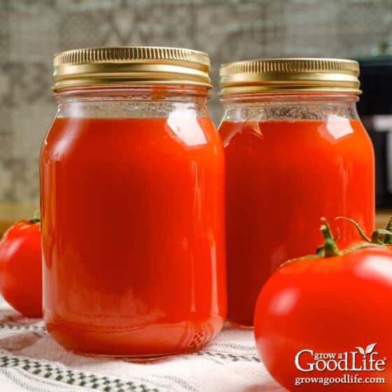 Plain Tomato Sauce: Small Batch Canning Recipe