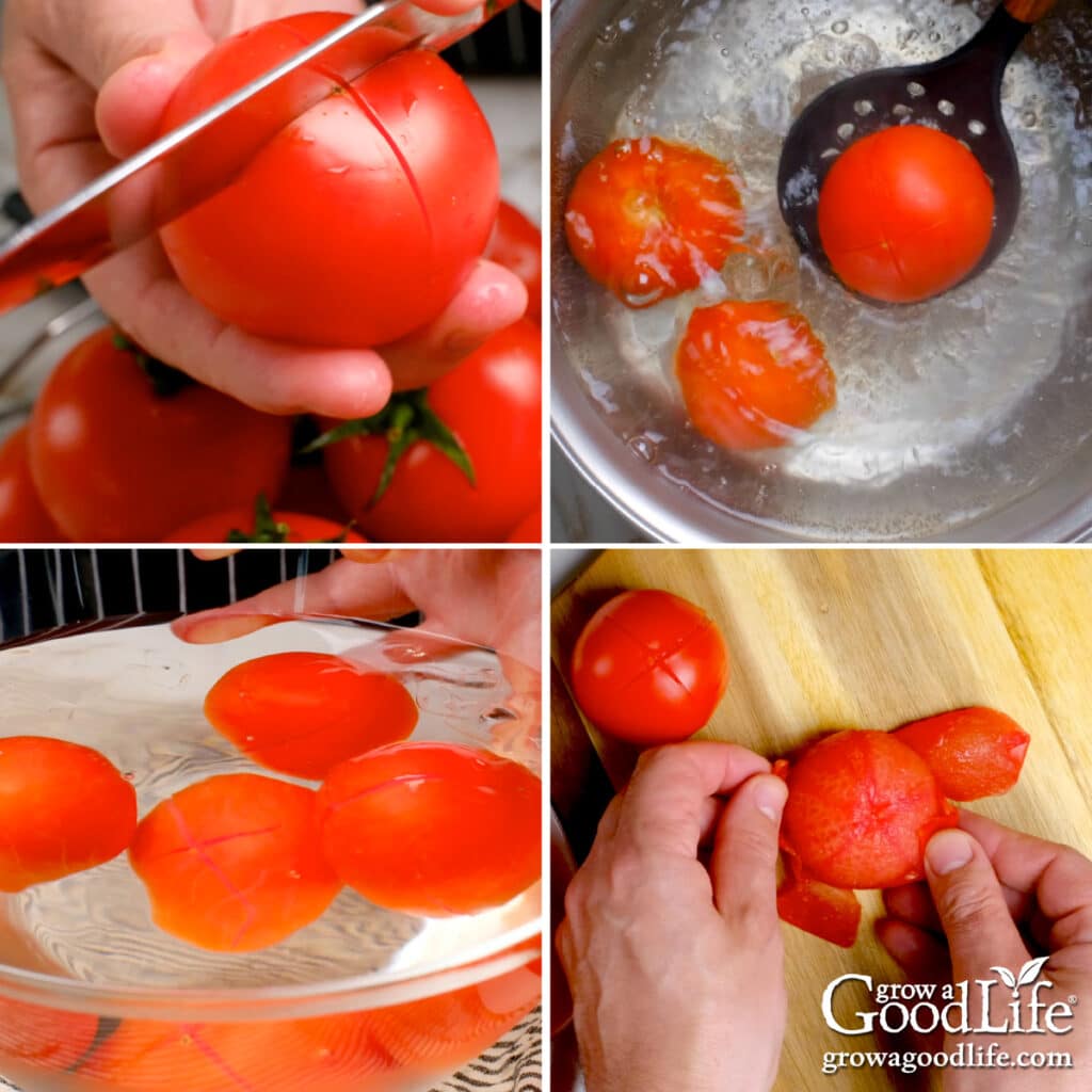 Illustrated steps for blanching, peeling and seeding tomatoes.