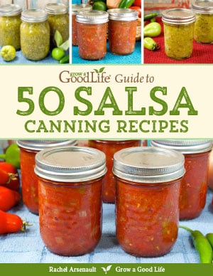 Cover for the 50 salsa canning recipes ebook.