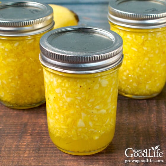 Sweet Summer Squash Relish Canning Recipe
