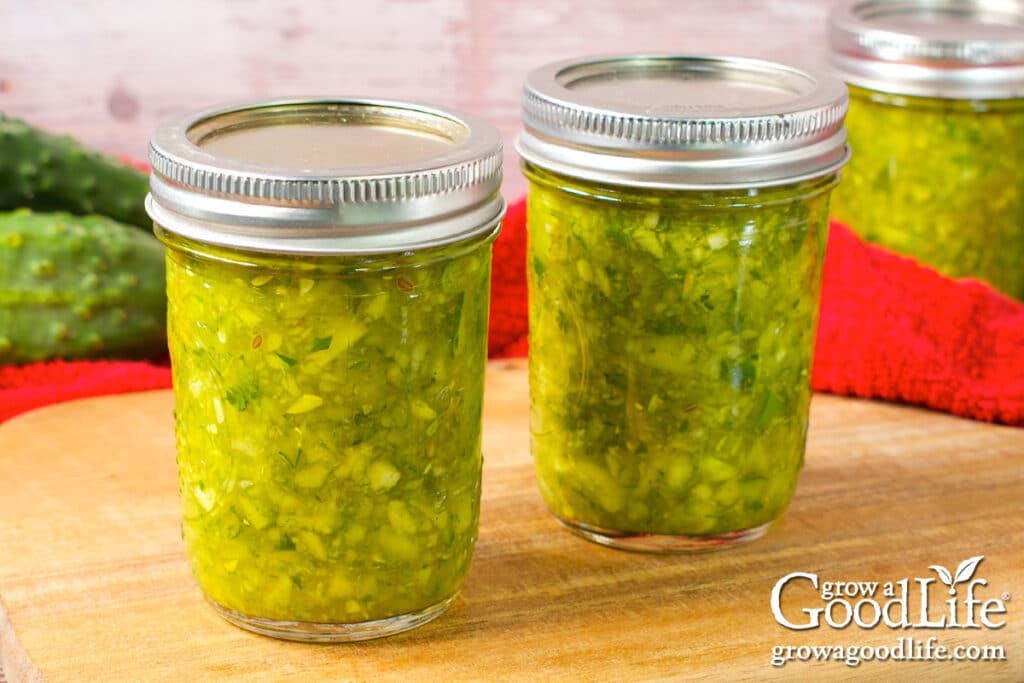 Freshly home canned jars of dill pickle relish on a counter.