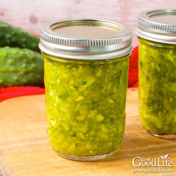 Dill Pickle Relish Canning Recipe
