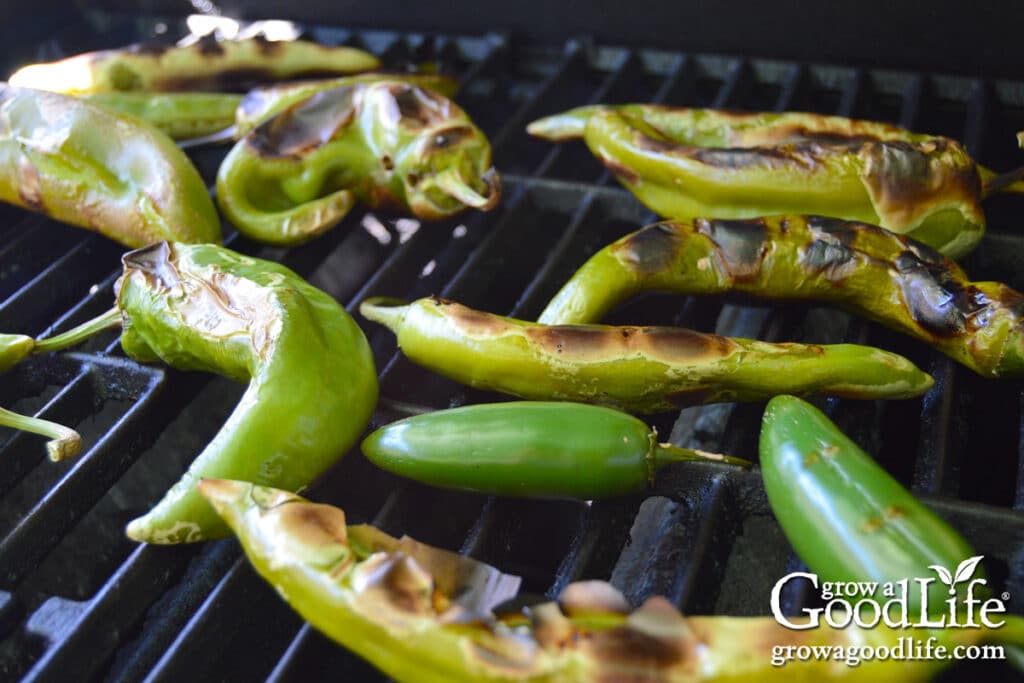 Peppers on a gas grill grate.