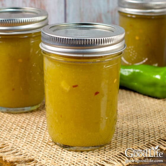 Green Chile Enchilada Sauce Canning Recipe