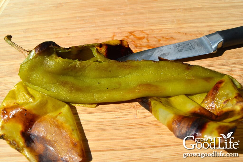 Removing the charred peeling from a pepper.