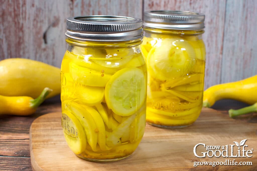 Pint jars of home canned summer squash pickles on a table.