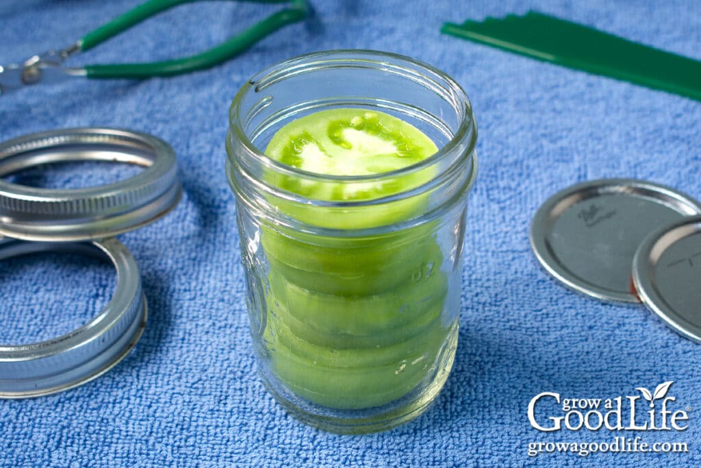 Filling a jar with sliced green tomatoes.