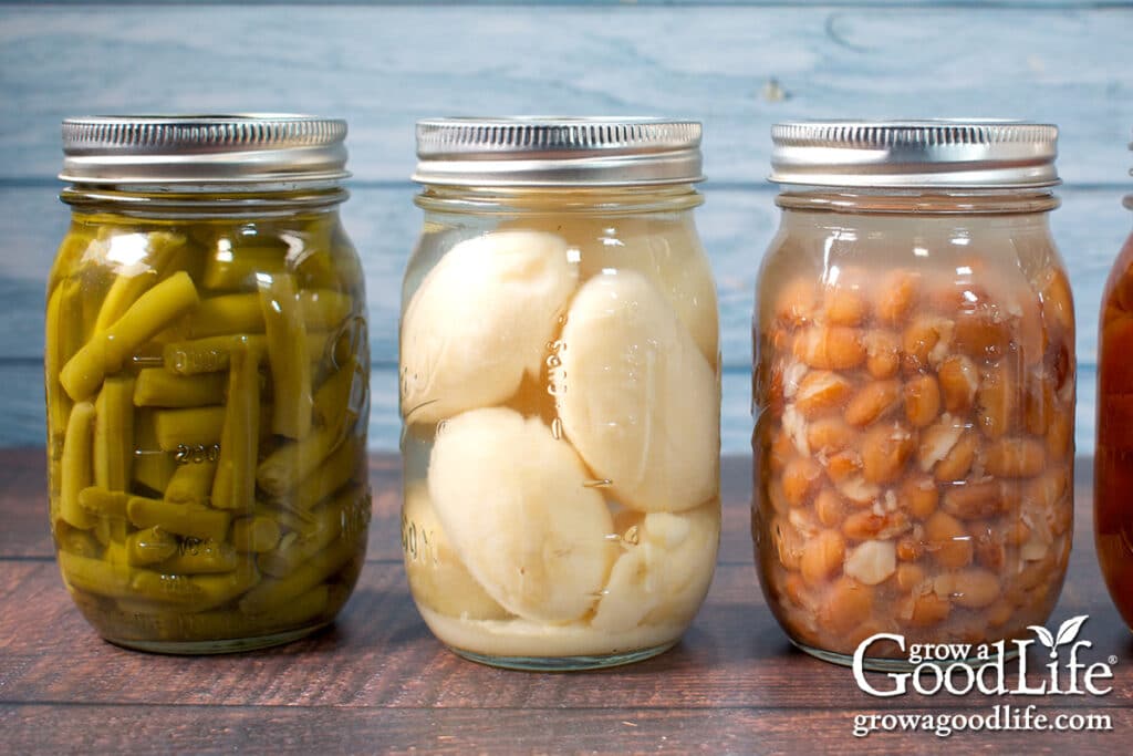 Pint size canning jars of pressure canned carrots, string beans, and potatoes on a table.