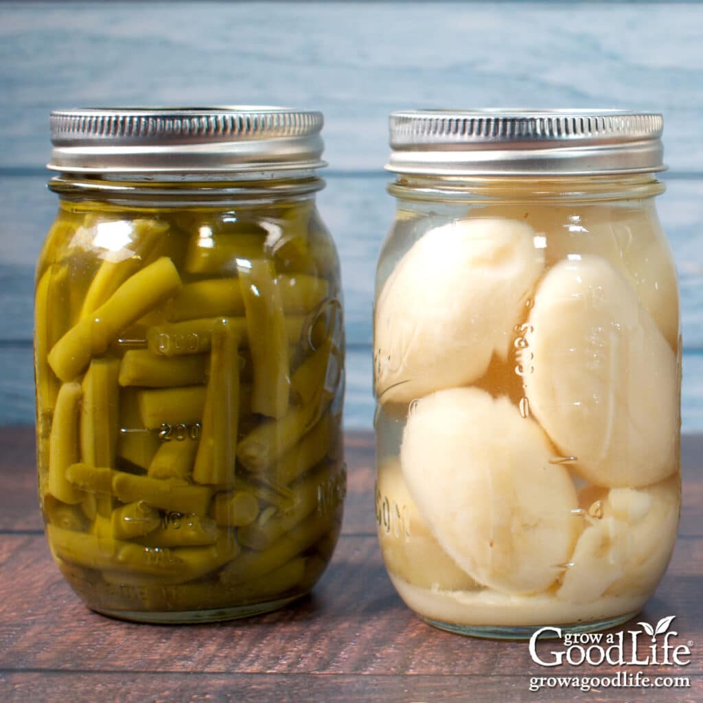 Pint size canning jars of pressure canned string beans and potatoes on a table.