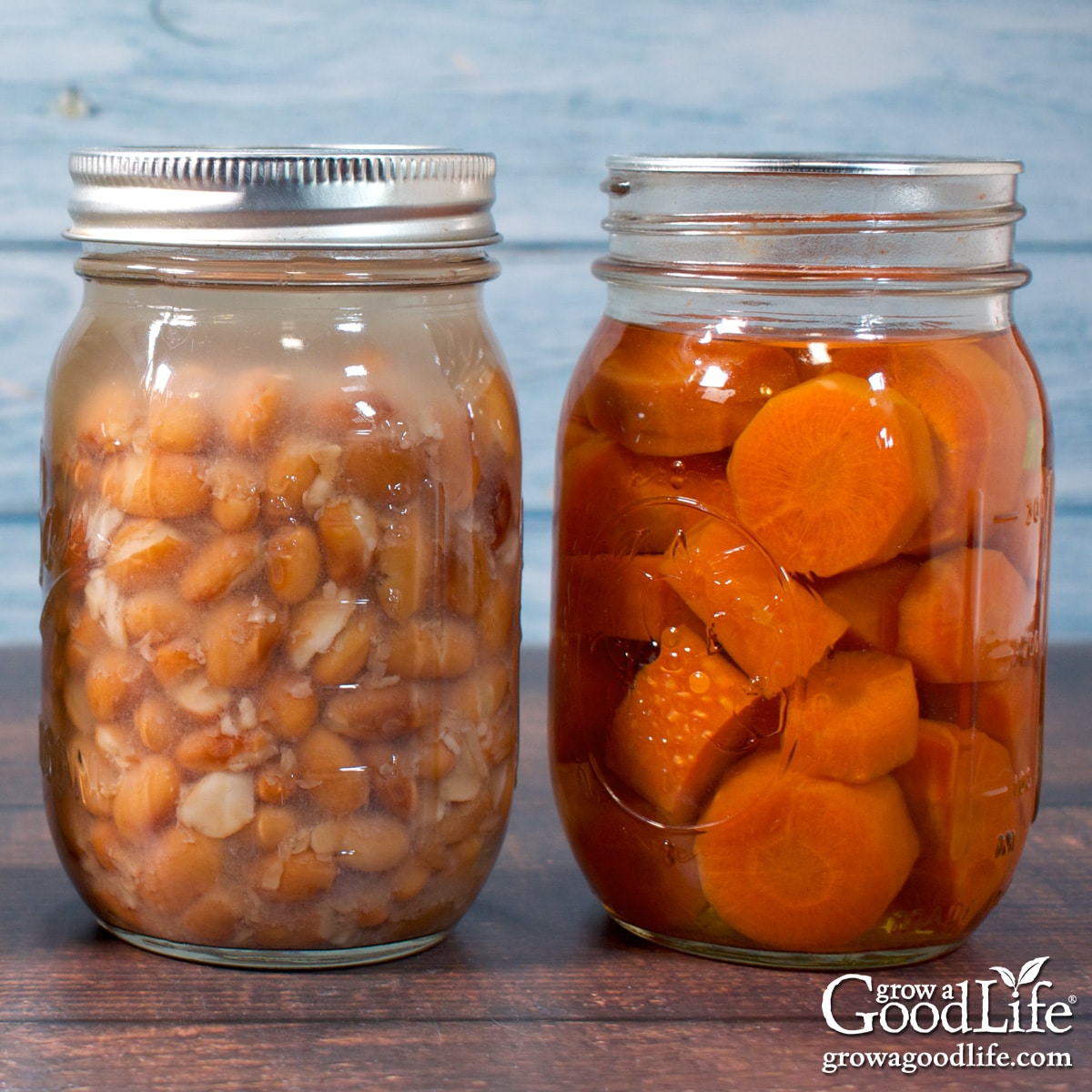 Pint size canning jars of pressure canned carrots and dried beans on a counter.