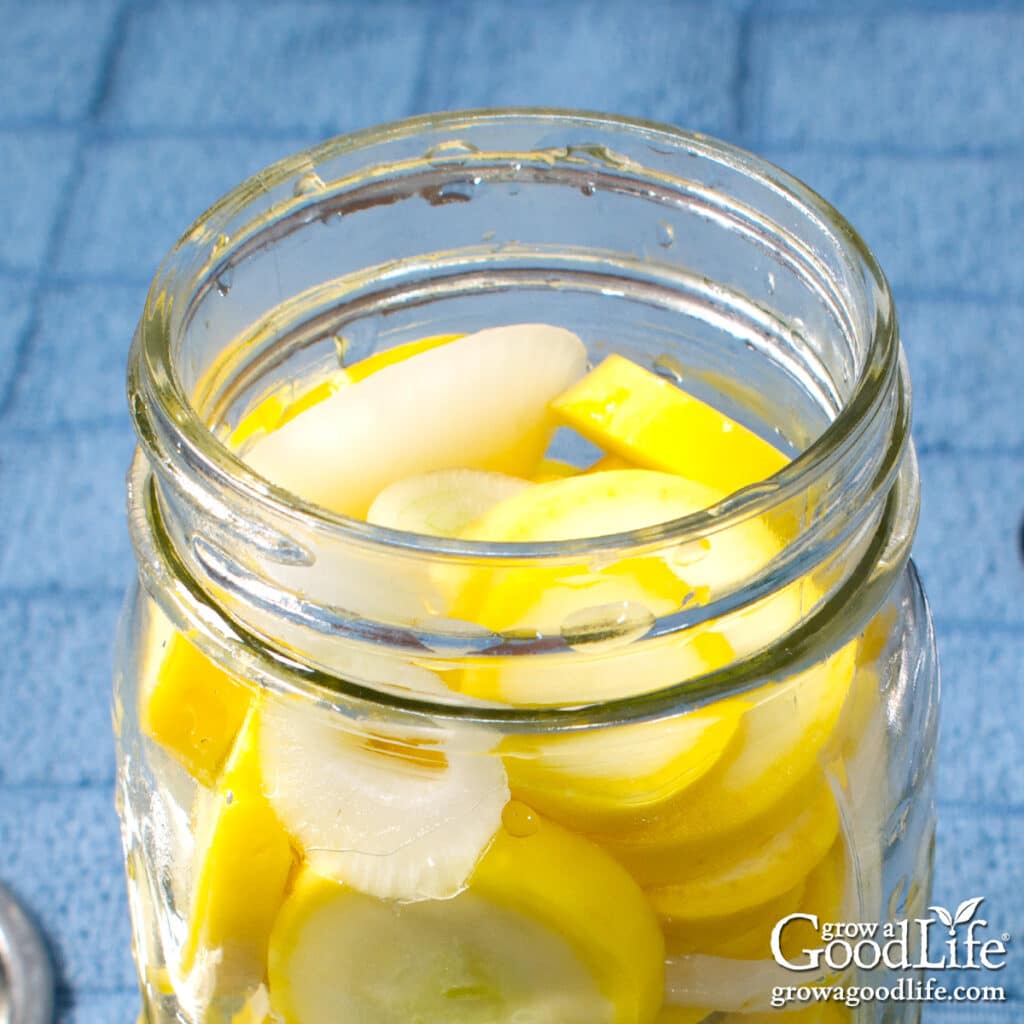 A jar of yellow squash pickles where the vegetables aren’t fully covered in brine.