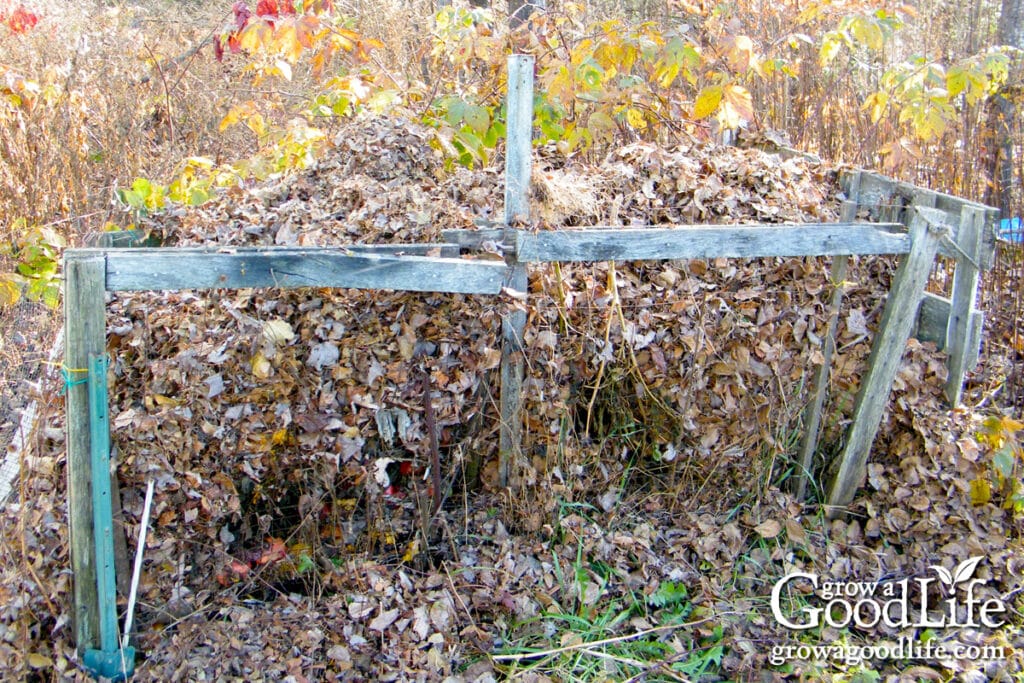 A compost bin filled with shredded fall leaves to make leaf mold.