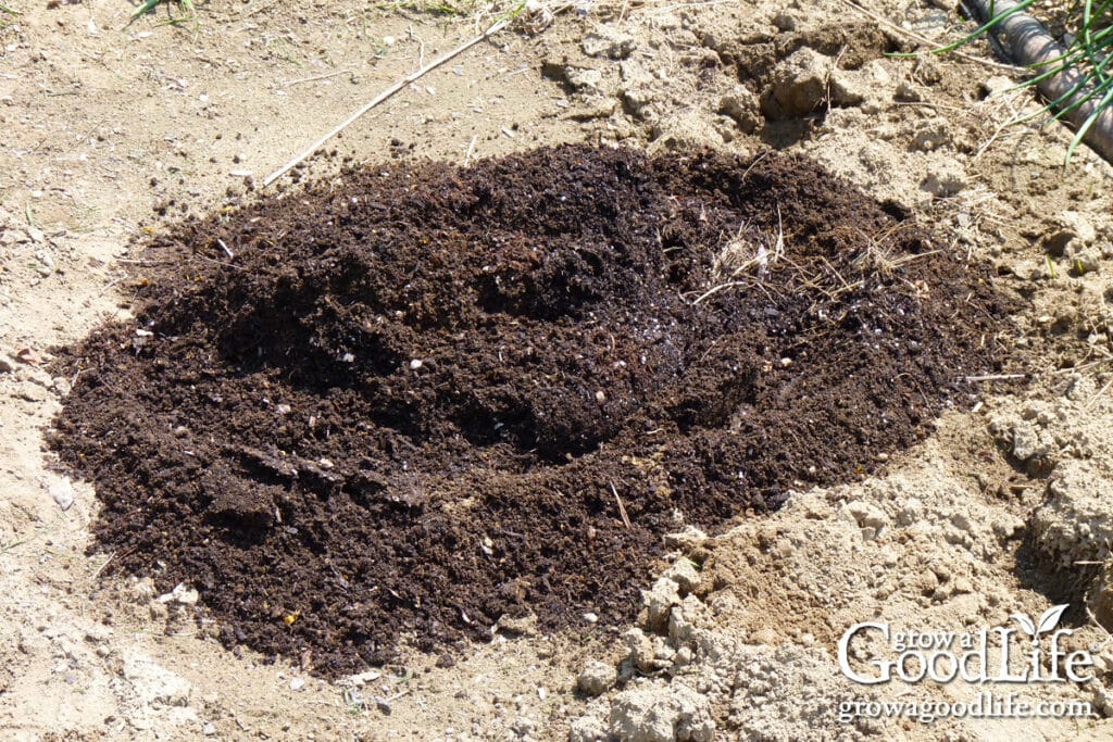 Adding leaf mold to improve sandy soil.