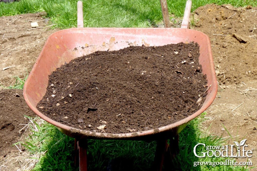 A wheelbarrow of leaf mold to use in the garden.