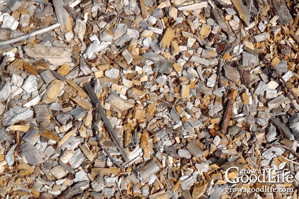 Close up of a pile of arborist wood chips.