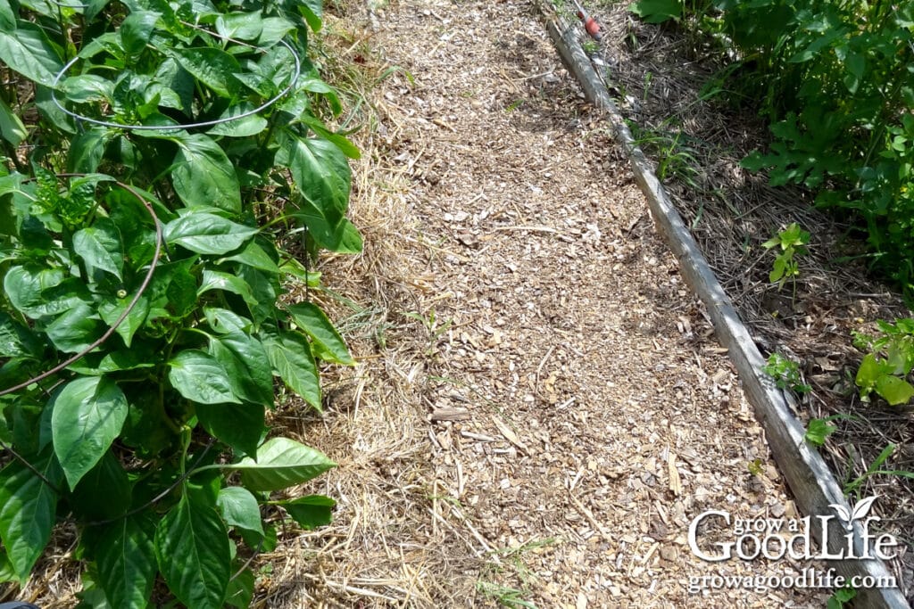 Garden path mulched with wood chips.