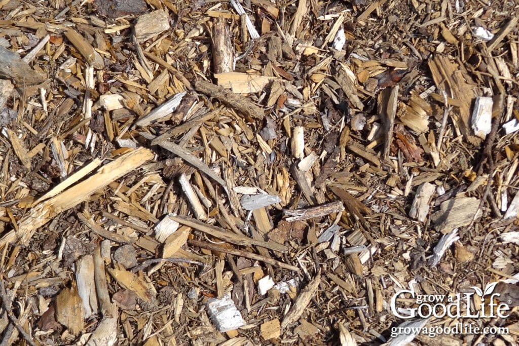 Close up of ramial wood chips.