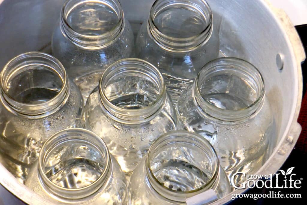 Overhead view of quart jars warming in the pressure canner.