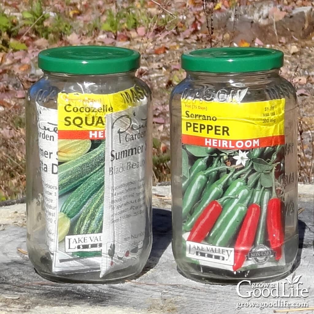 Two jars of garden seeds for storing.