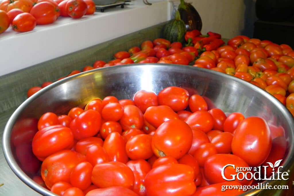 Ripe garden tomatoes filling a bowl on a kitchen counter during peak harvest.