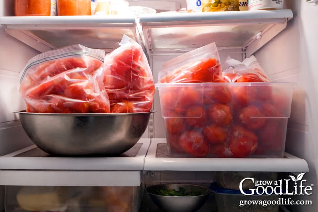Frozen tomatoes thawing in freezer bags inside a refrigerator.