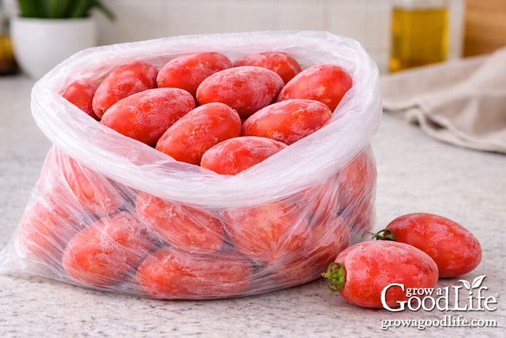 An open freezer bag filled with frozen tomatoes.