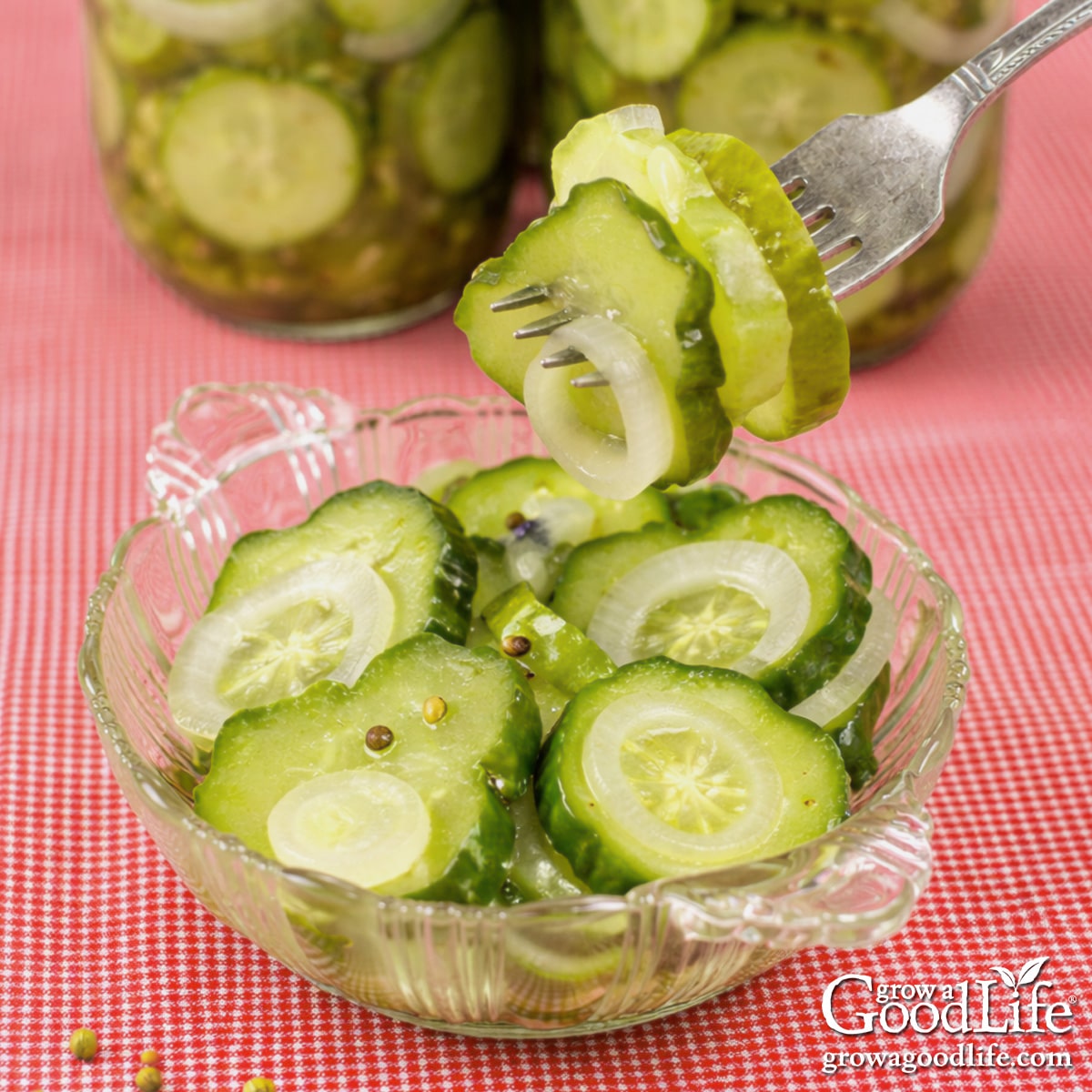 Refrigerator bread and butter pickles served in a dish with a fork.