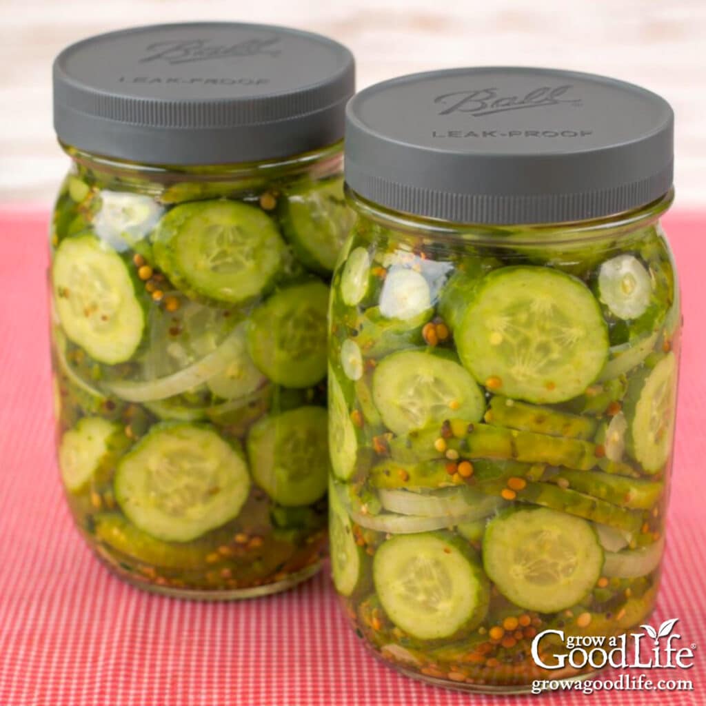 Two pint jars of refrigerator bread and butter pickles ready for the fridge.