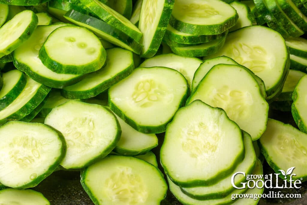 Sliced cucumbers ready for making refrigerator bread and butter pickles.