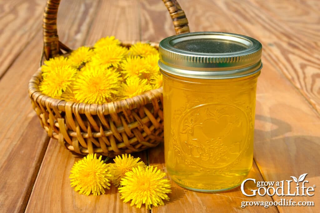 A jar of dandelion jelly with a small basket of fresh dandelion blossoms on a table.