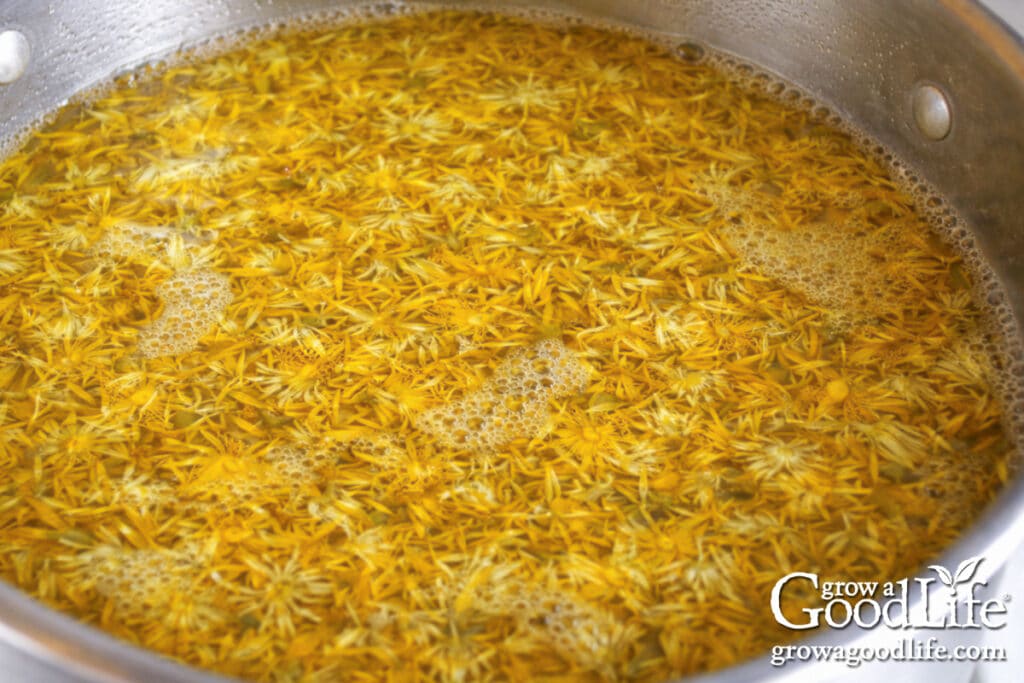 Dandelion petals steeping in hot water to make dandelion tea for jelly.