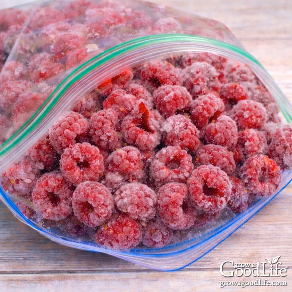 Open freezer bag filled with frozen raspberries on a table.