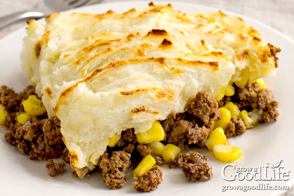 Close-up of pâté chinois showing layers of ground beef, corn, and mashed potatoes on a plate.