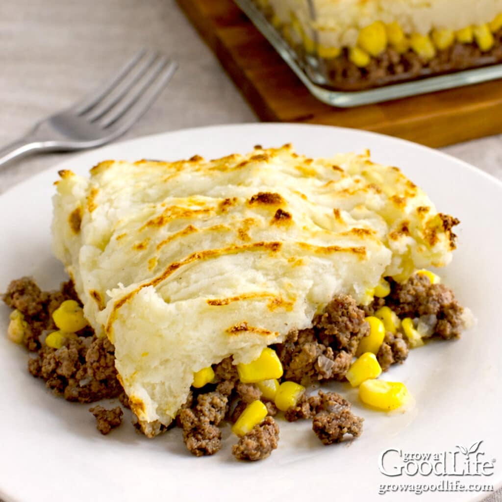 Pâté chinois served on a white plate with layers of ground beef, corn, and golden mashed potatoes.