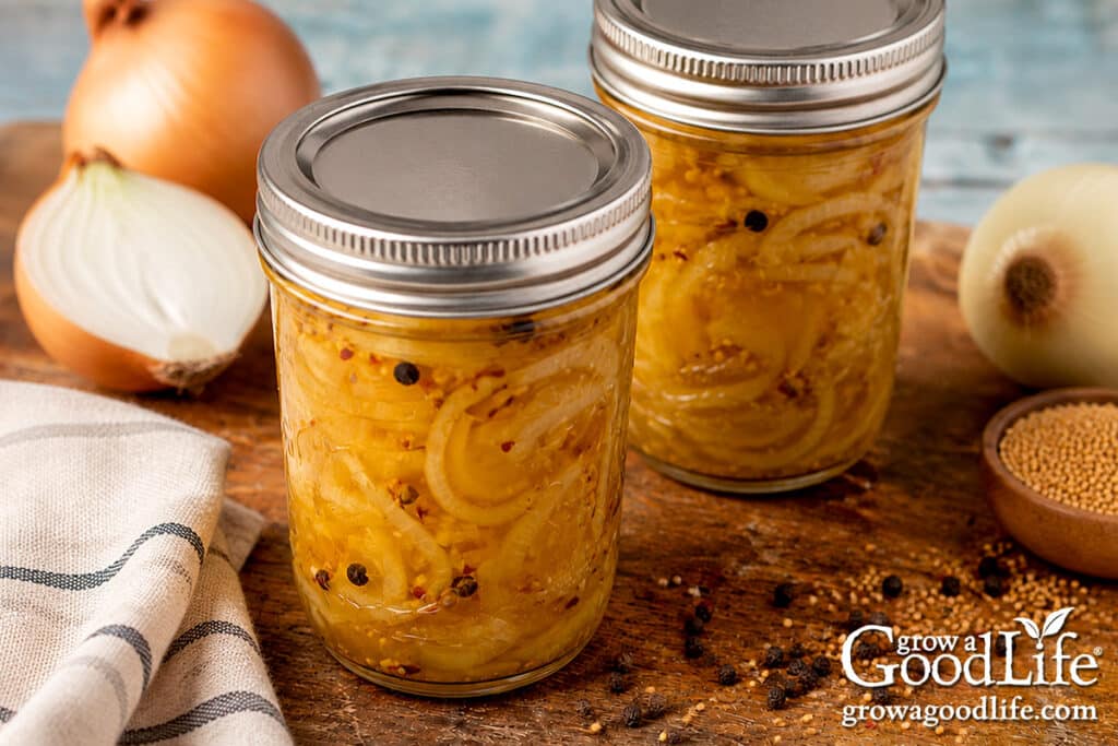 Cooled jars of home canned bread and butter pickled onions ready to be labeled and stored.