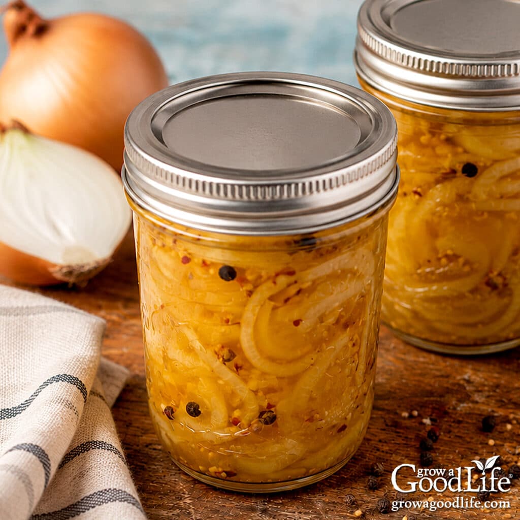 Jars of bread and butter pickled onions on a wooden table with yellow onions and spices.