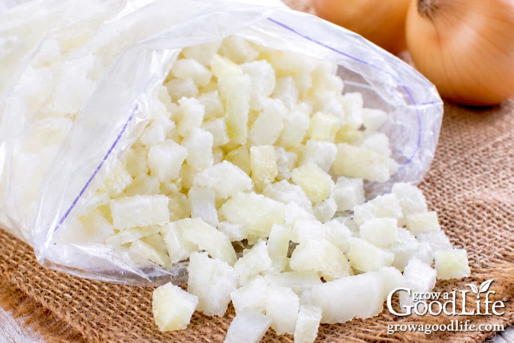 A freezer bag filled with frozen chopped onions on a table with whole yellow onions in the background.