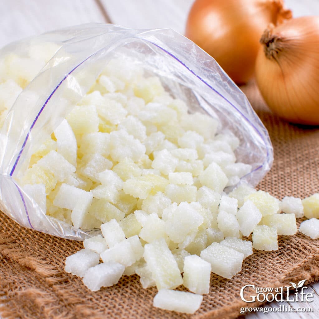 Freezer bag filled with frozen chopped onions on a table with whole yellow onions in the background.