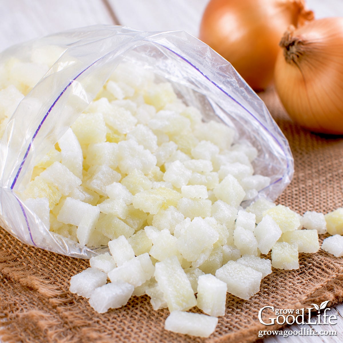 Freezer bag filled with frozen chopped onions on a table with whole yellow onions in the background.